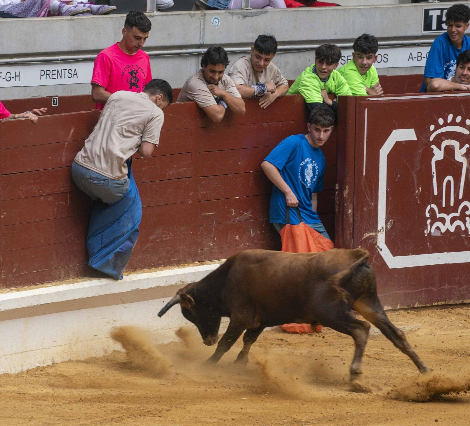 Eb imágenes: Las vaquillas reinan en el Iradier Arena