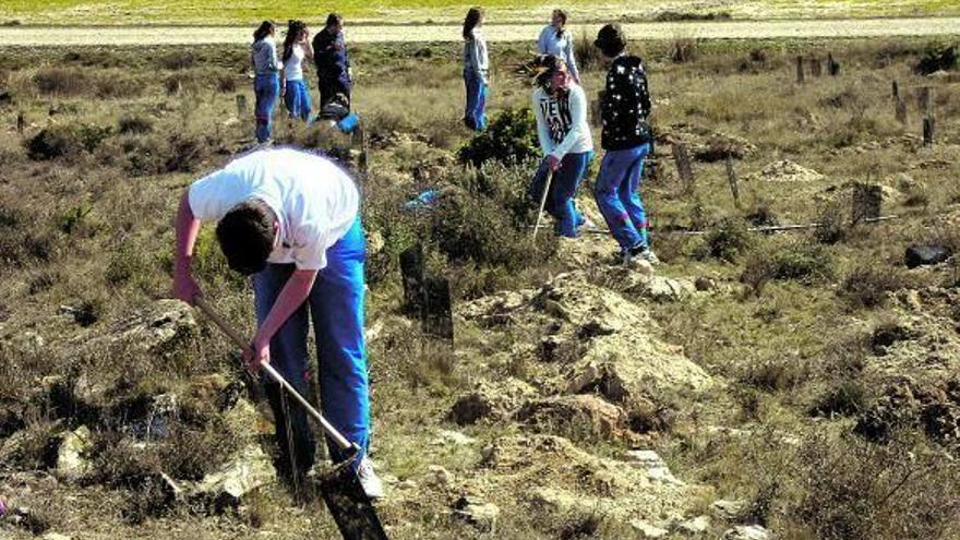 En dos años, los alumnos de San Cernin han plantado 1.000 árboles.