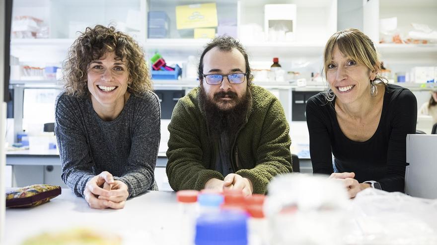 Las infecciones virales pueden dejar "huella" en el ARN y favorecer la enfermedad celíaca, según un estudio de la EHU