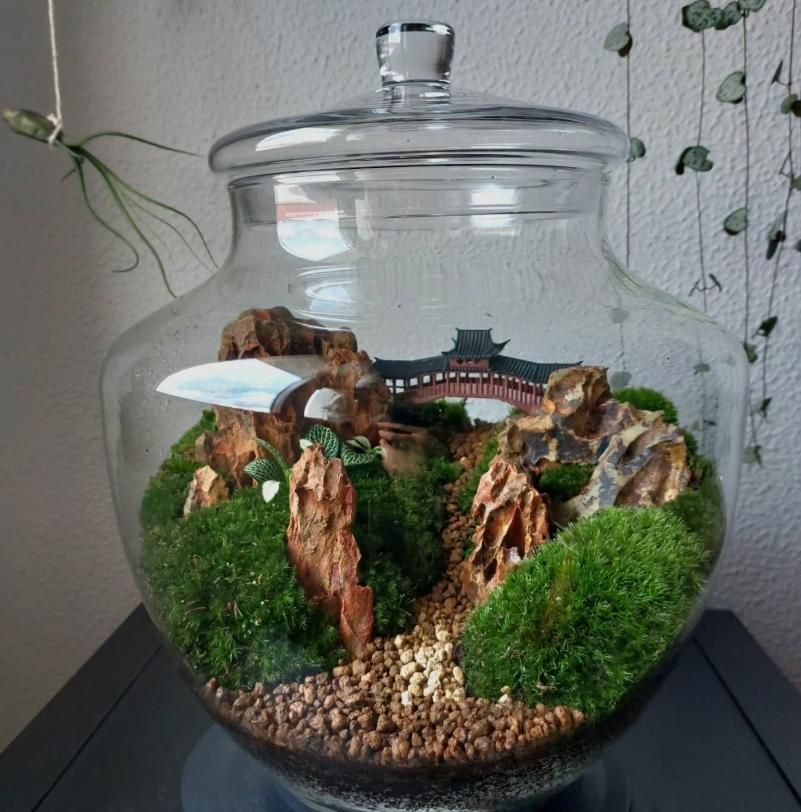 En imágenes: Así son los pequeños universos botánicos que triunfan en Bizkaia