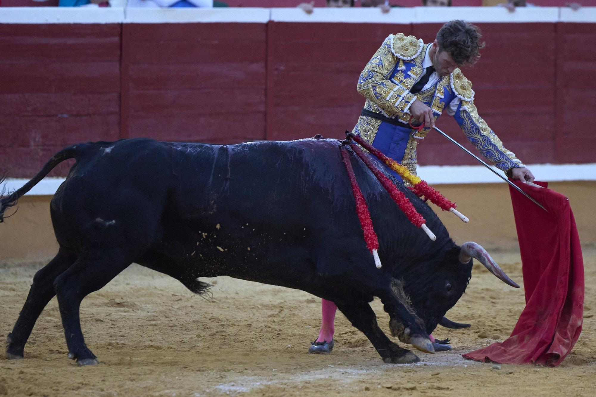 Fotos de la corrida de toros en Tudela con toros de Garzón Valdenebro