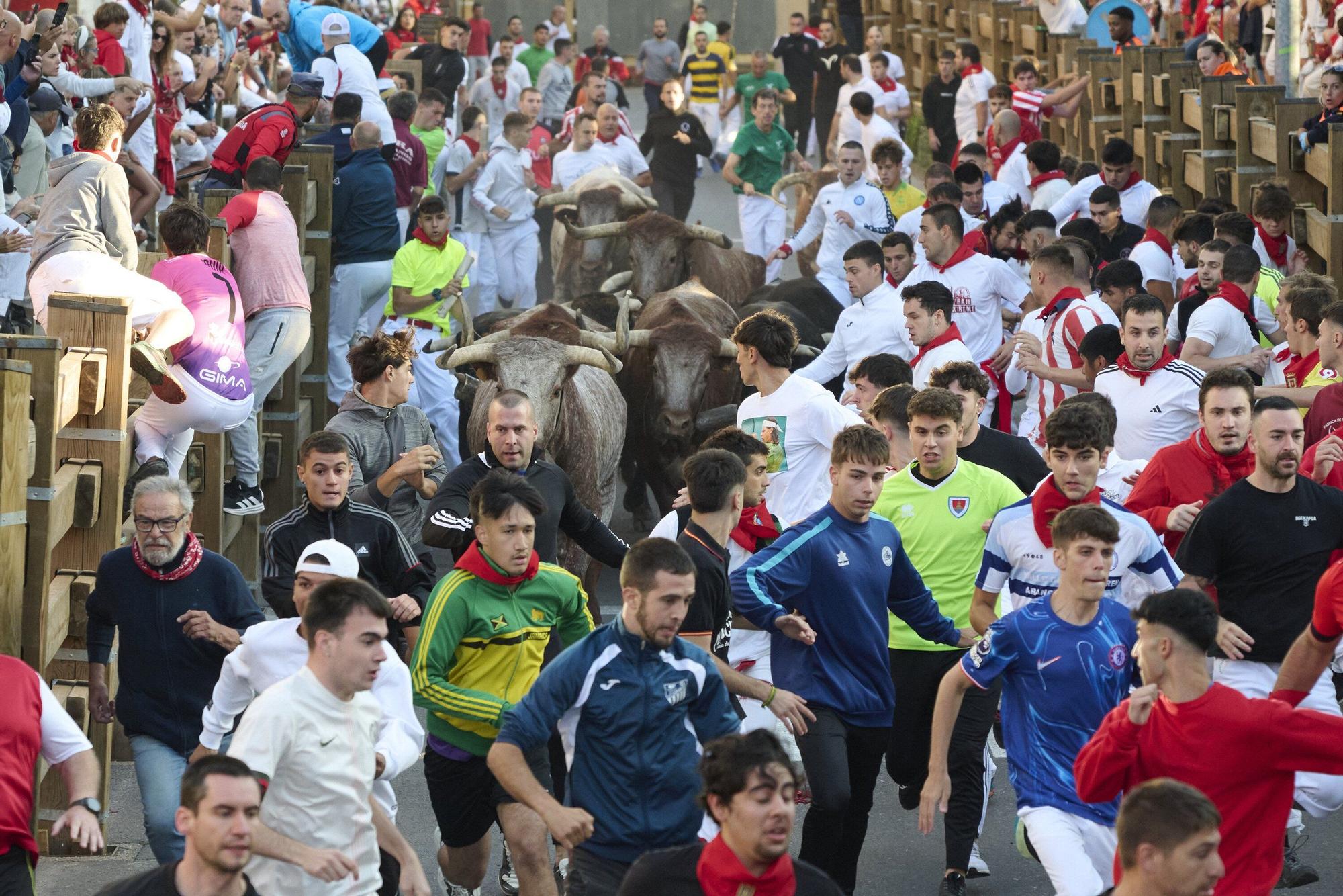 Fotos del segundo encierro de las fiestas de Tudela 2025