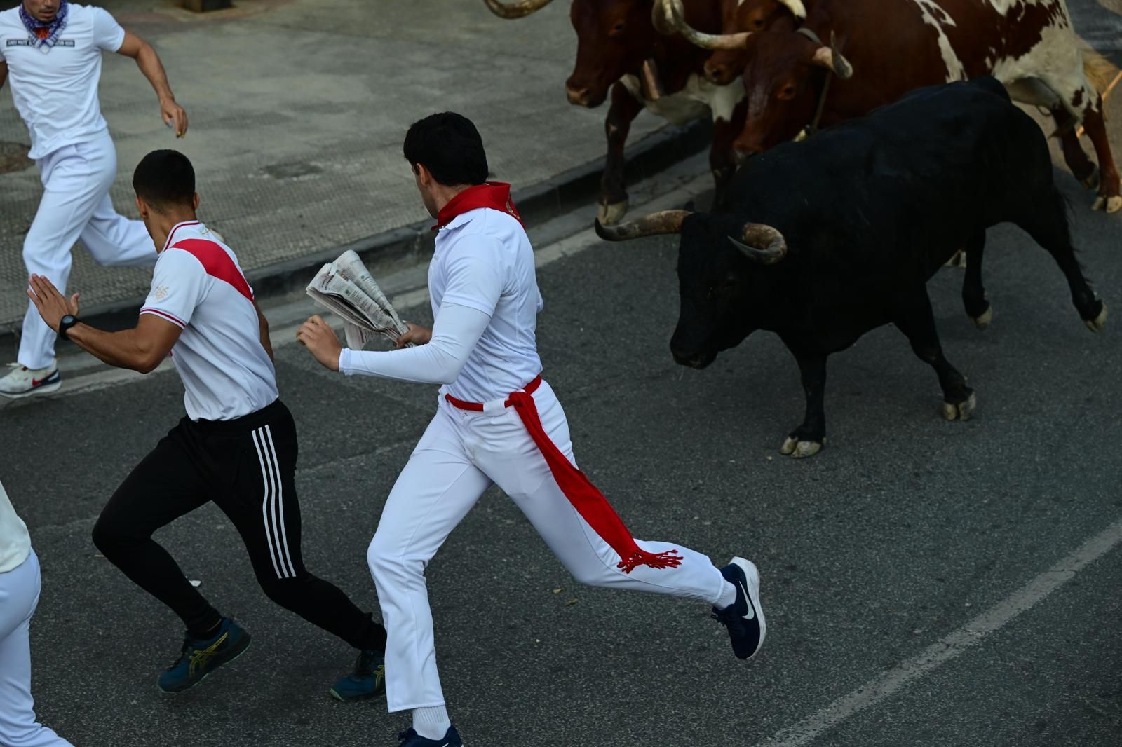 Fotos del segundo encierro de fiestas de Tafalla 2025