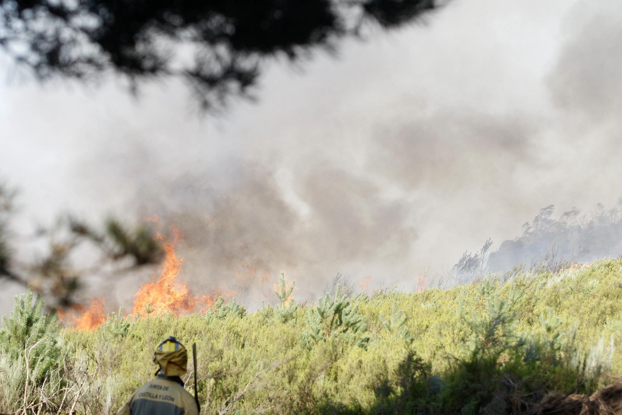 Semana negra de incendios: Cuatro muertos y 120.000 hectáreas quemadas