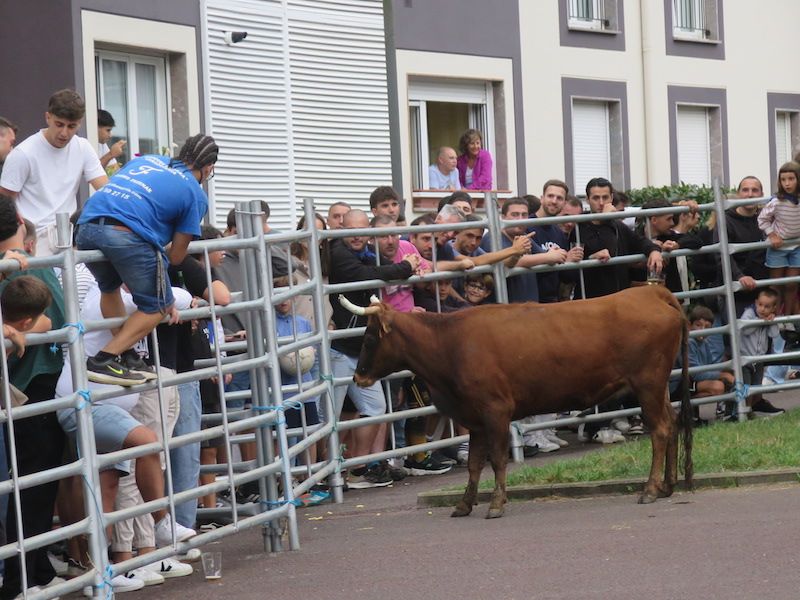 Los urretxuarras lo dan todo en las fiestas de Santa Anastasia