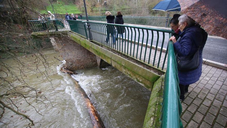 Un gran tronco atascado en el Puente de Curtidores tras las riadas en Pamplona