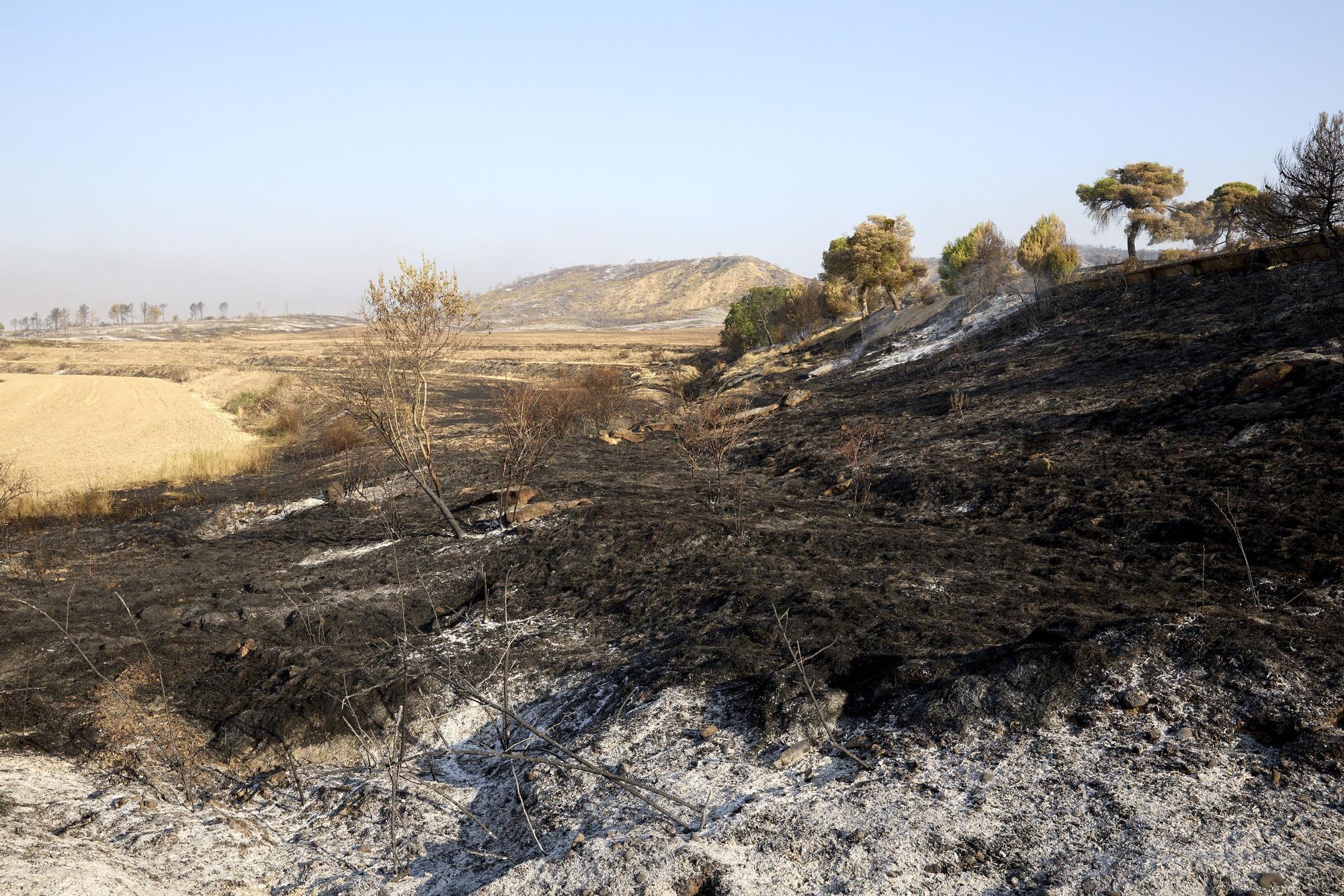Fotos de la lucha contra el fuego en Carcastillo este lunes 11 de agosto