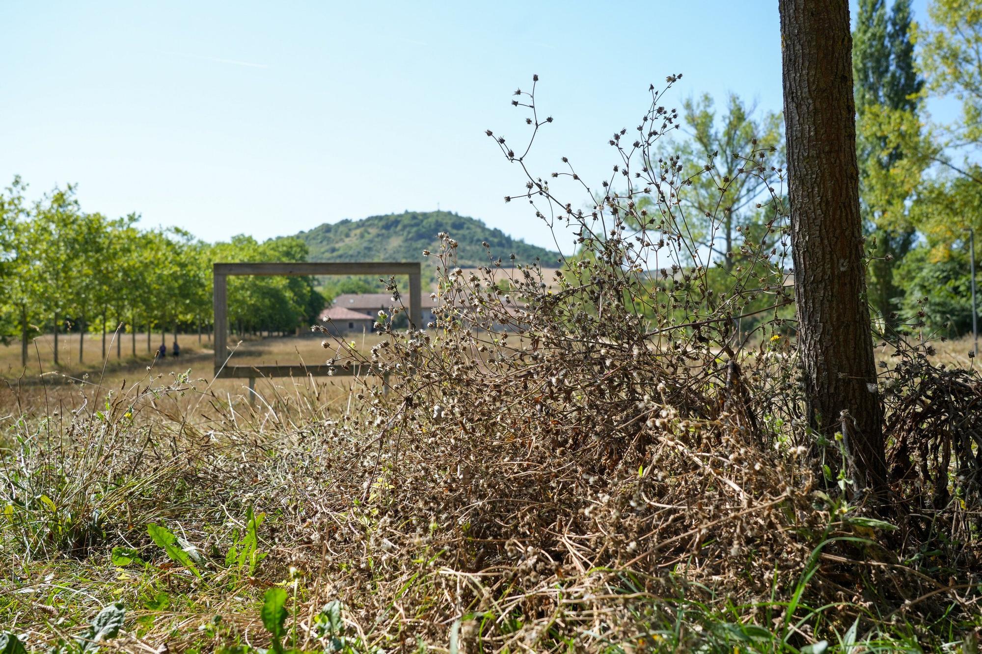 Así luce la campa de Olarizu tras 5 meses de huelga de jardineros