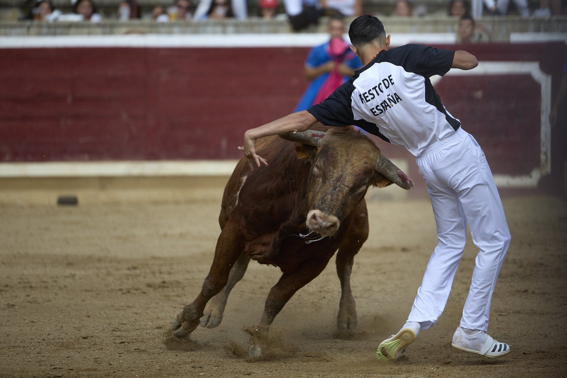Fotos del concurso de recortadores de fiestas de Tafalla