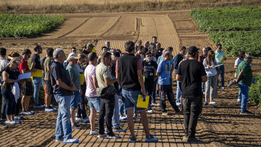 Neikerrek patataren maneiuan eta droneen erabilera esperimentalean dauden berrikuntzak aurkeztu dizkio sektoreari