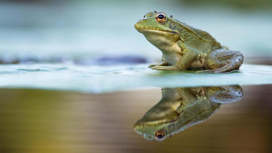Mikel Usillos: “Hacer fotos es el reflejo de todo lo que me gusta captado en una milésima”