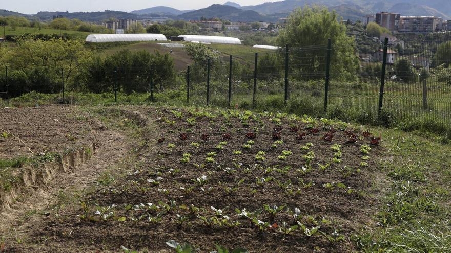 Detenido por ocultar diez kilos de hachís en una zona de huertas de Altza