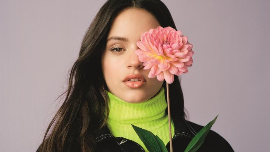 Así es el Instagram &#039;secreto&#039; de Rosalía