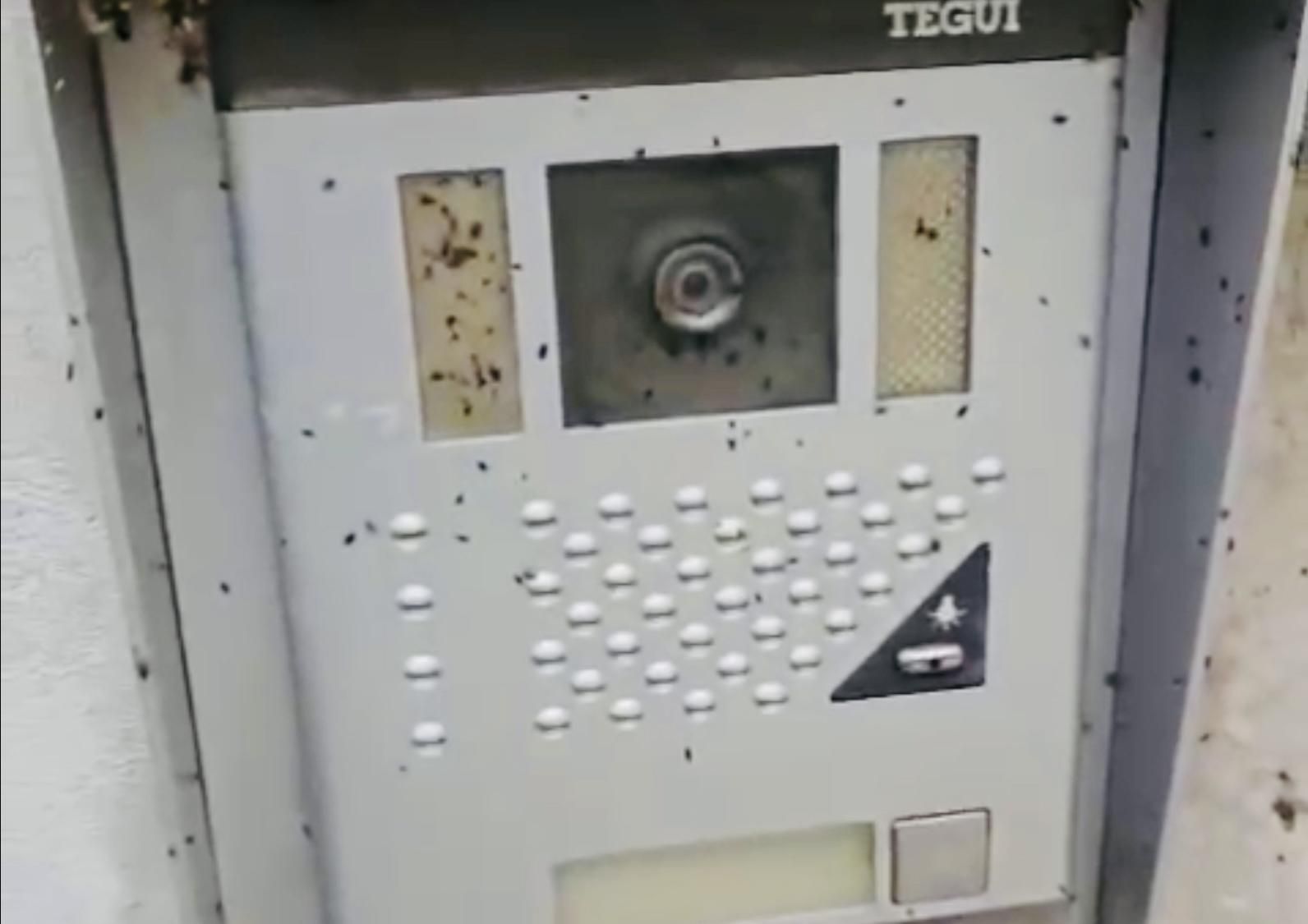 Un telefonillo de una vivienda afectada, lleno de chinches.