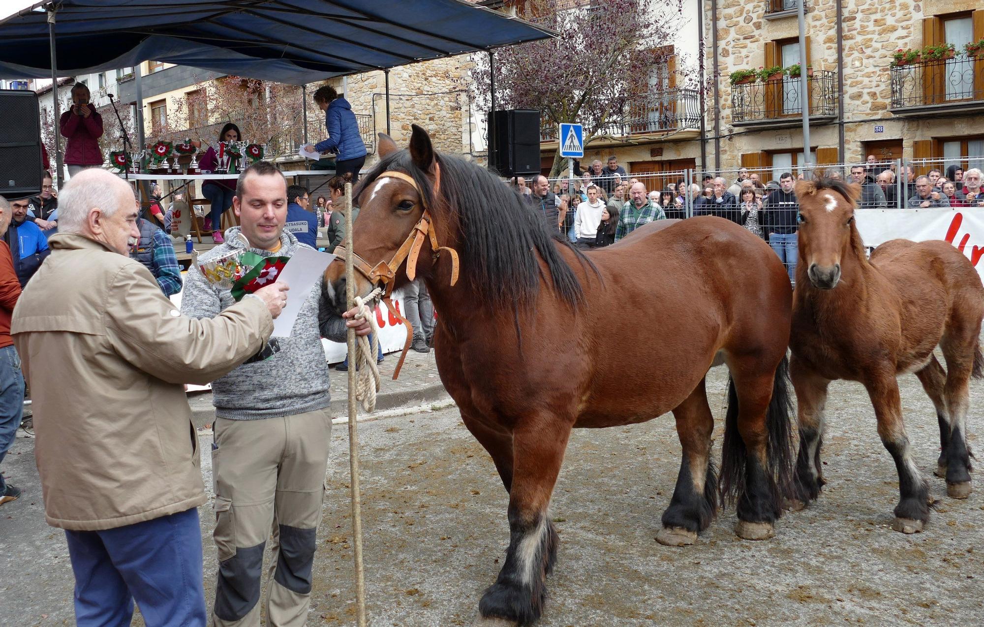 Fotos de las ferias de Altsasu este domingo