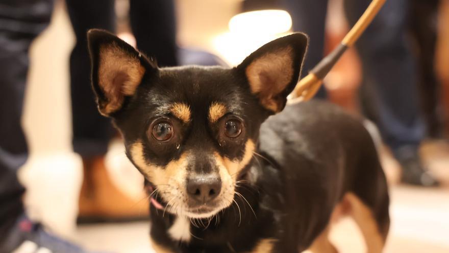 Café previo al evento.