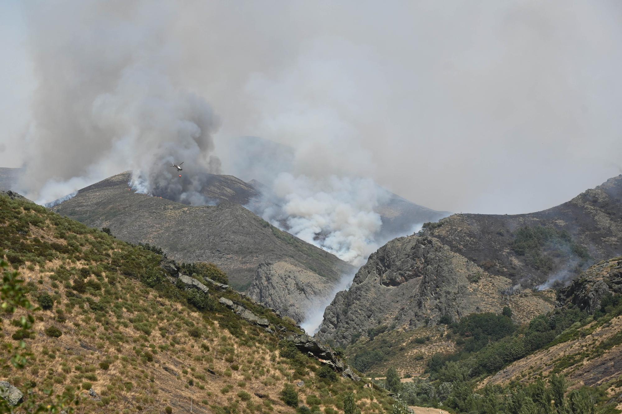 Semana negra de incendios: Cuatro muertos y 120.000 hectáreas quemadas