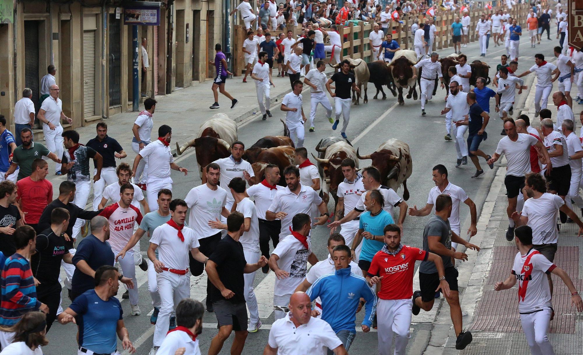 Fotos del tercer encierro de fiestas de Tafalla 2025