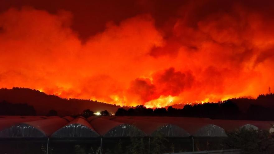 Imagen de un incendio en a isla de Eubea.