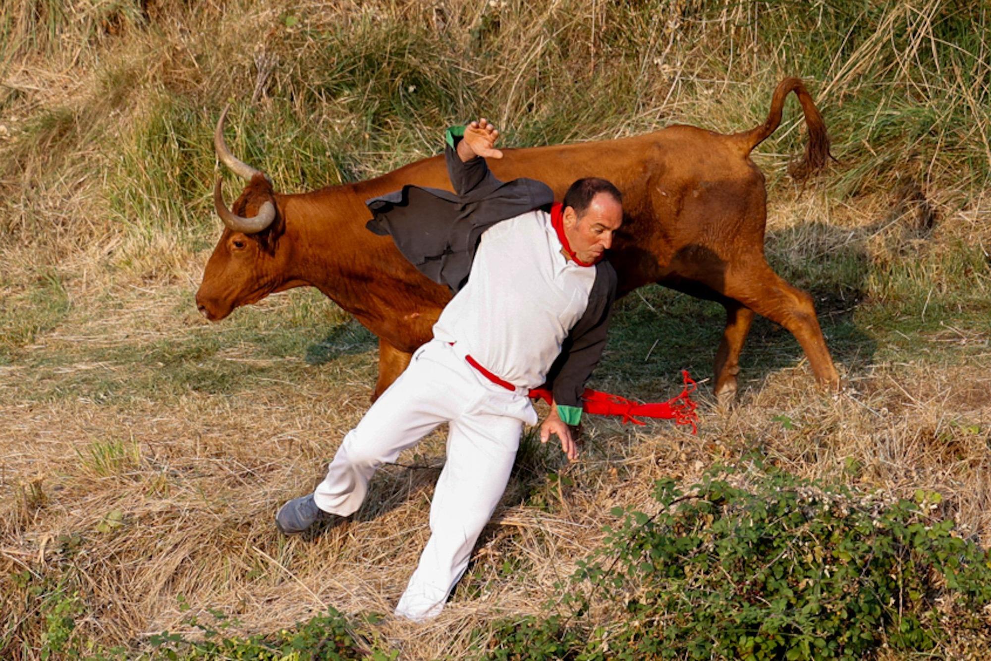 Fotos del cuarto encierro del Pilón de Falces 2025