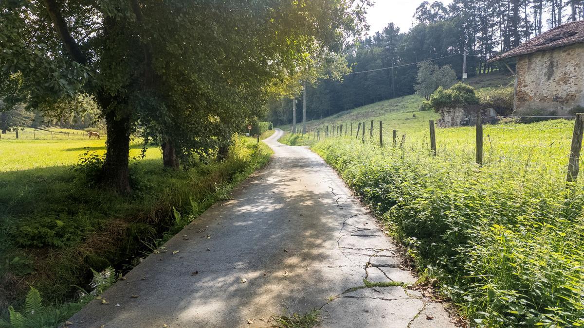 El camino del barrio Santa Ana es uno de los caminos que se repararán El camino del barrio Santa Ana es uno de los caminos que se repararán