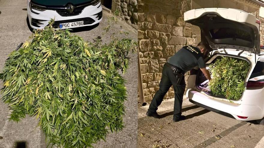 Investigado un conductor por tráfico de drogas tras ser interceptado en Olazagutía con 3,7 kilos de marihuana