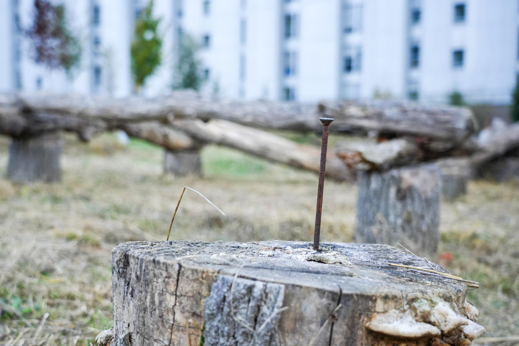 En imágenes: El Ayuntamiento adecenta el parque Tirreno