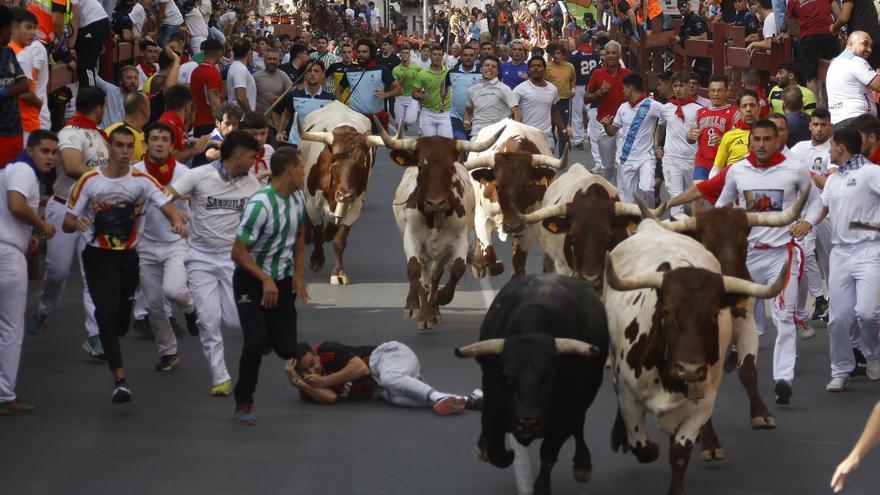Un corredor navarro es corneado en el quinto encierro de San Sebastián de los Reyes