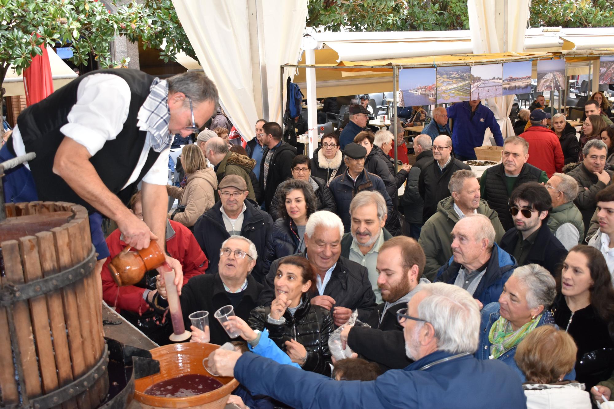 Fotos de las fiestas de San Gregorio 2025 en Azagra