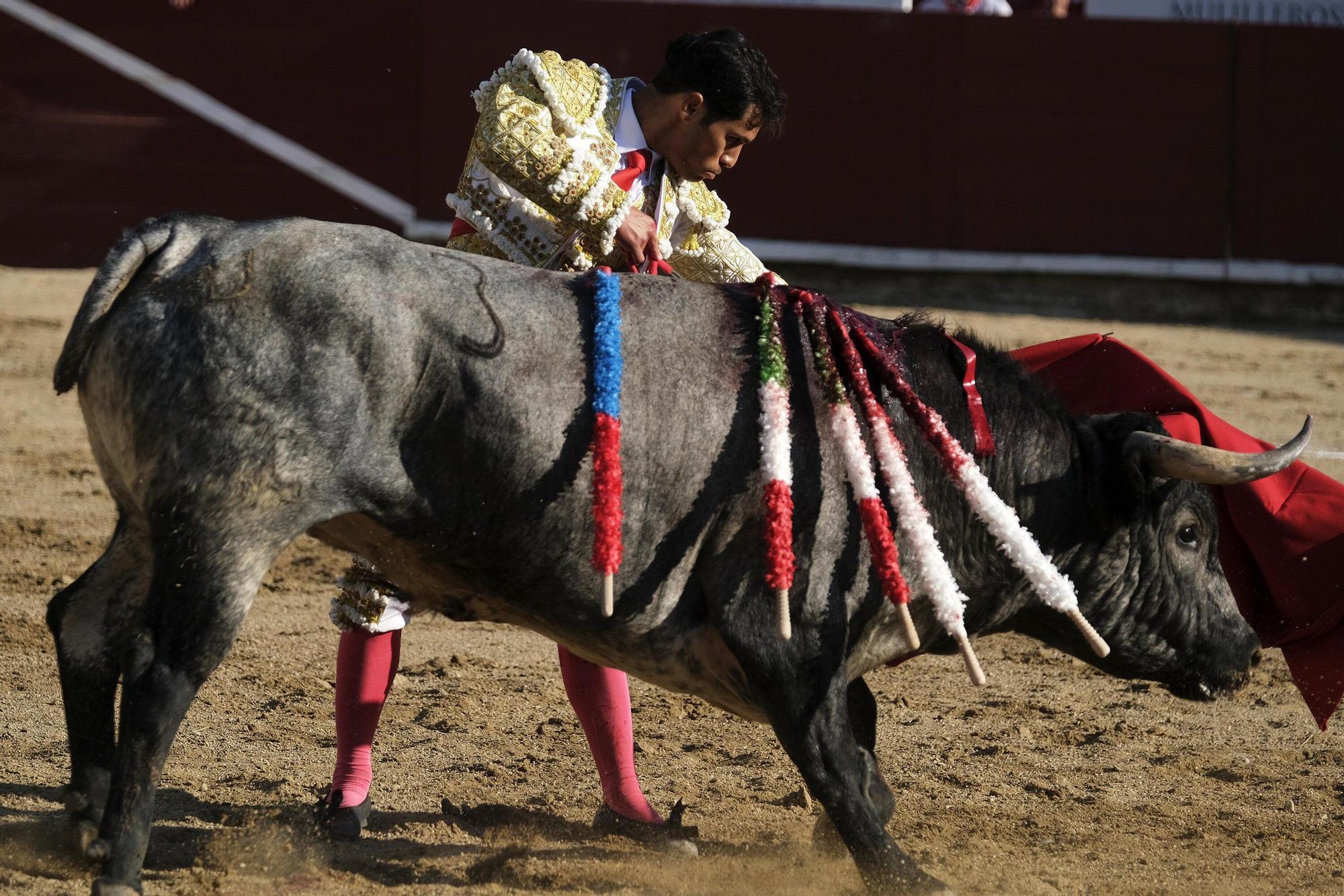 Fotos de la corrida con toros de Partido de Resina en fiestas de Estella-Lizarra