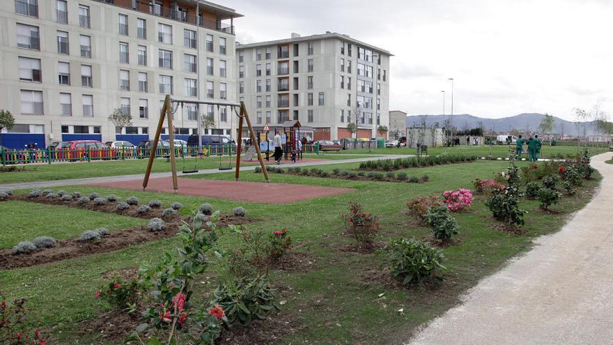 El Gobierno se abre a sancionar a los propietarios que no cumplan la ley. El Gobierno se abre a sancionar a los propietarios que no cumplan la ley.