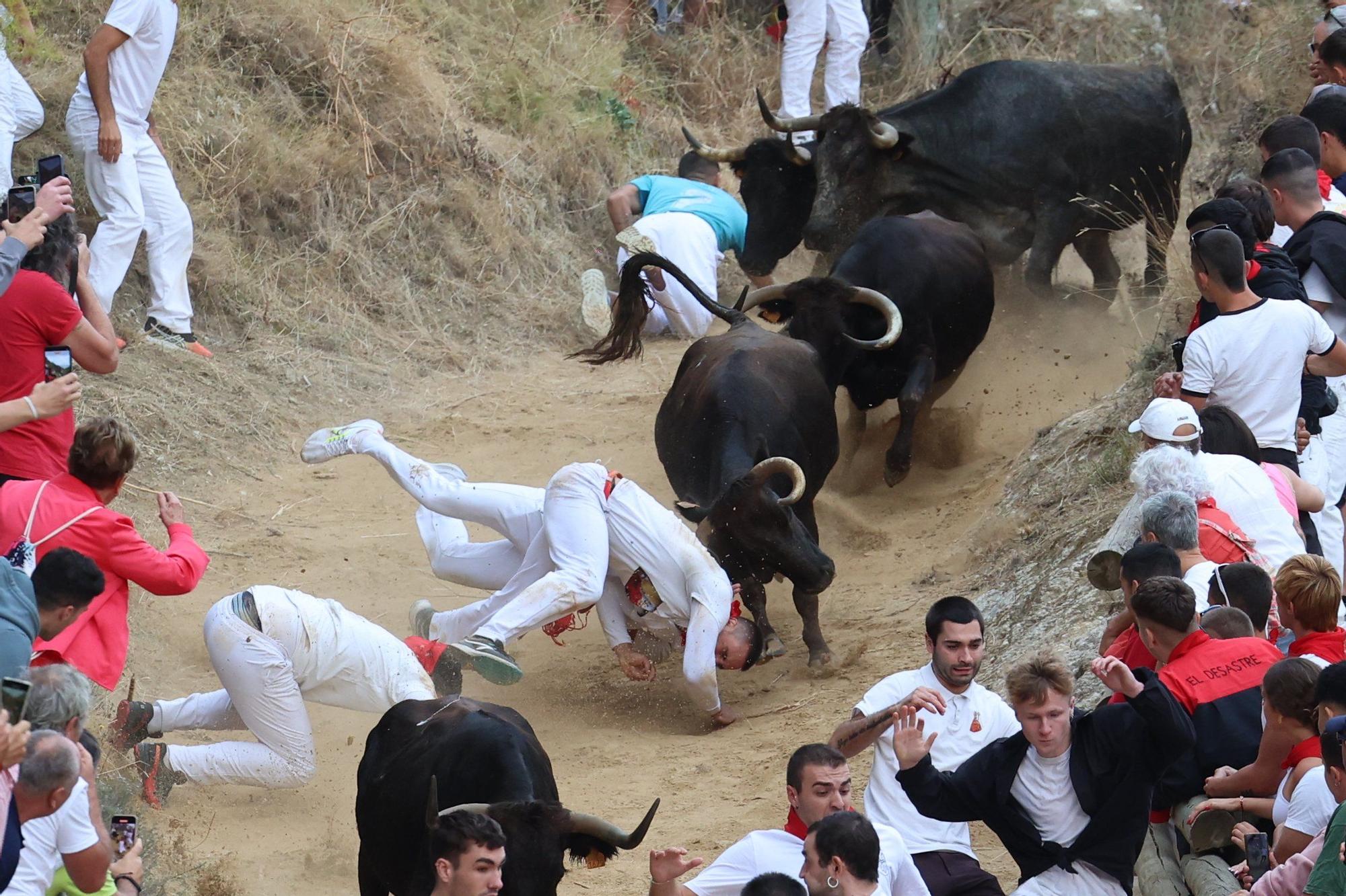 Fotos del tercer encierro del Pilón de Falces 2025