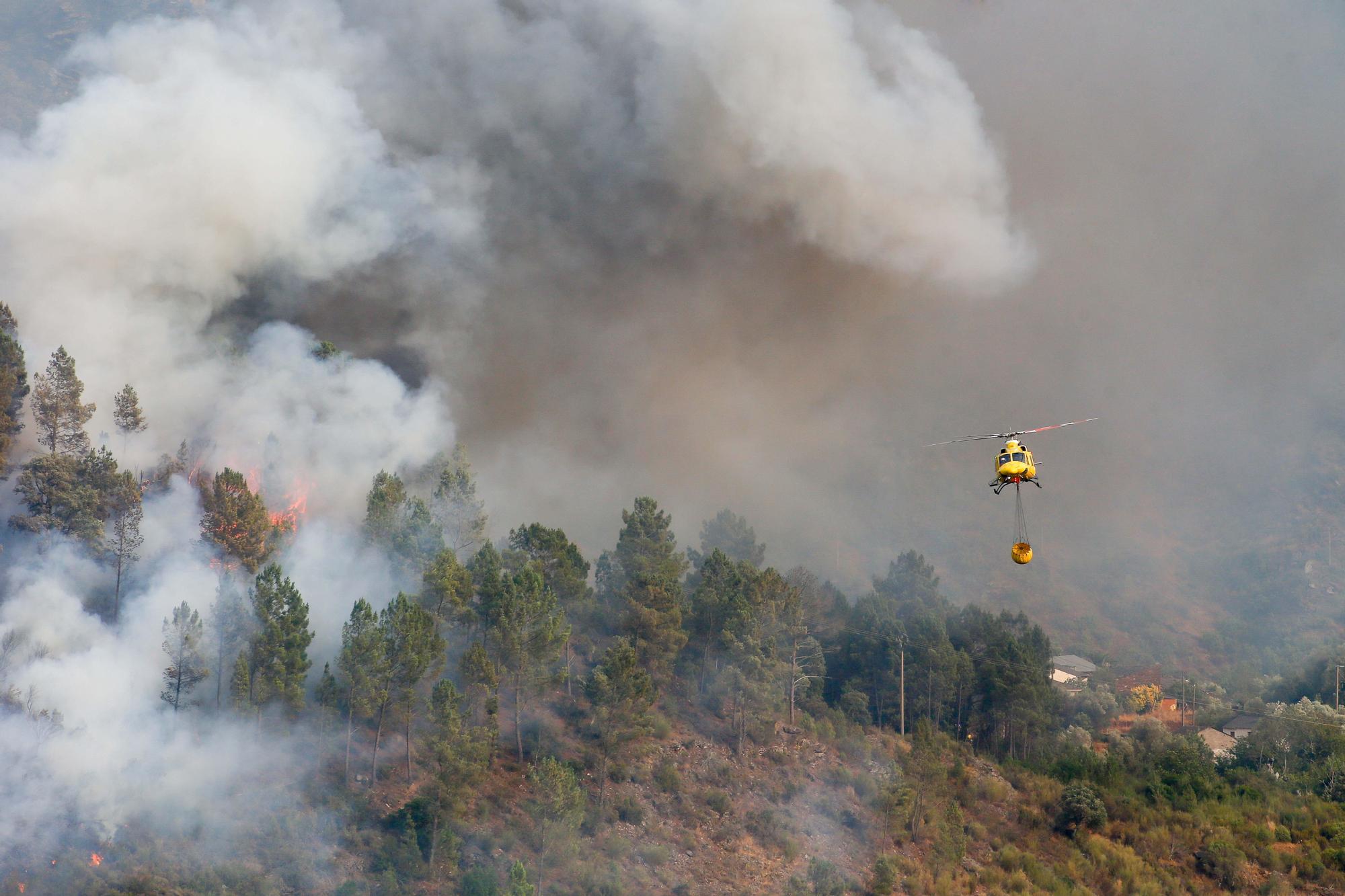 Semana negra de incendios: Cuatro muertos y 120.000 hectáreas quemadas