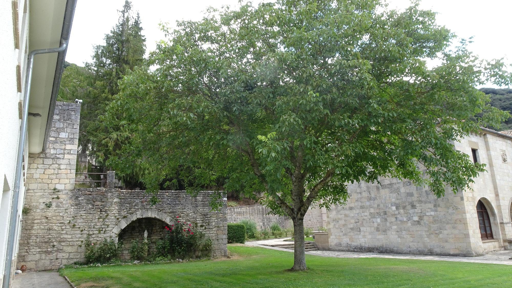 Monasterio de Iranzu