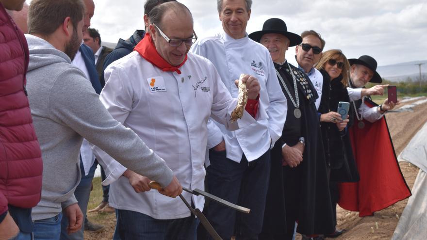 Primer Espárrago de Navarra 2026