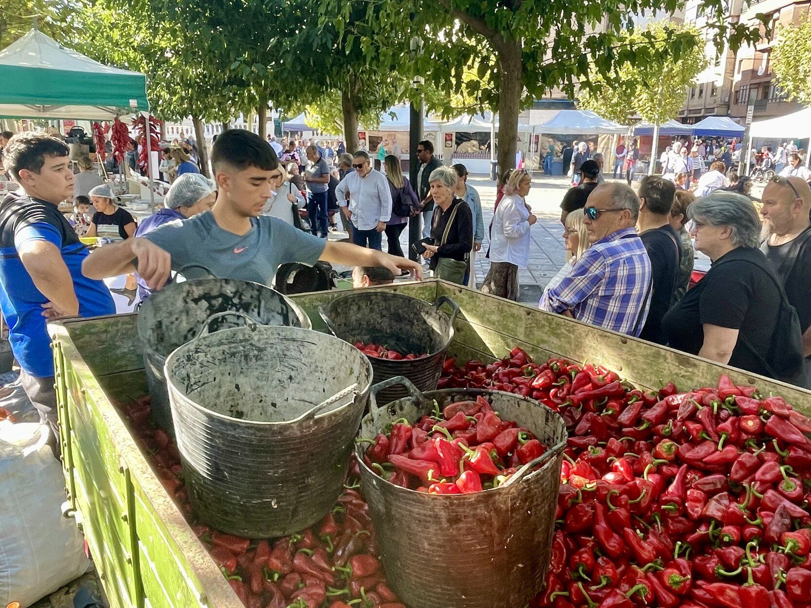 Fotos de las jornadas de exaltación del pimiento del piquillo de Lodosa