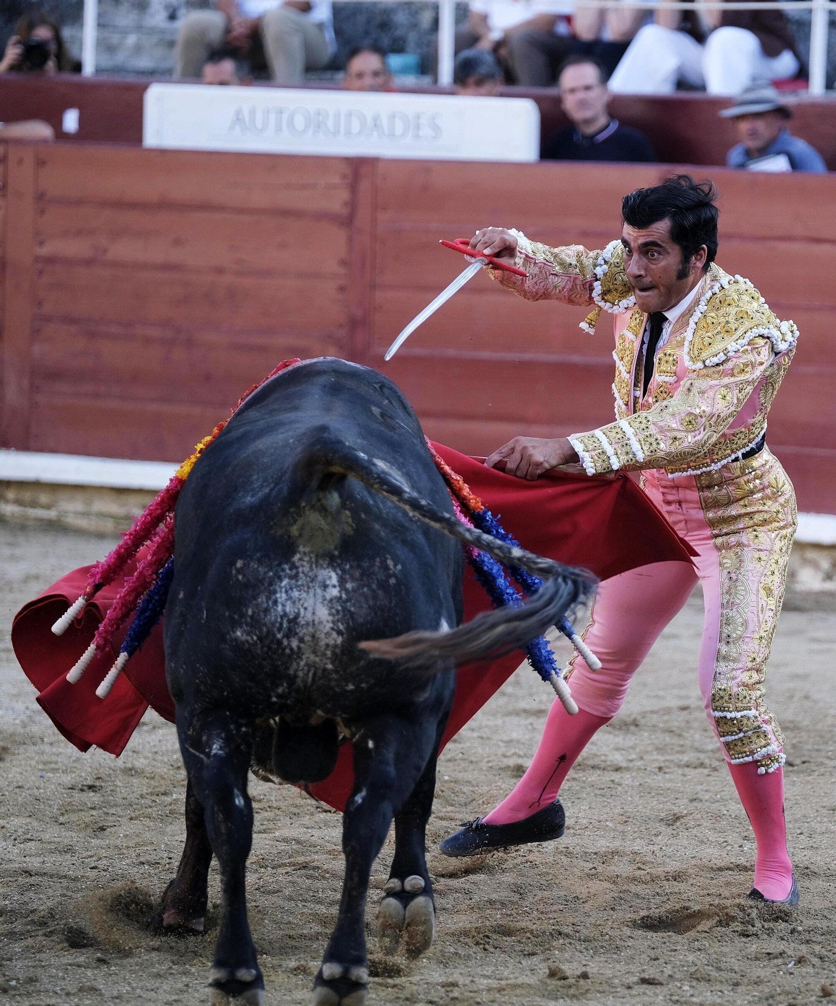 Fotos de la corrida con toros de Partido de Resina en fiestas de Estella-Lizarra