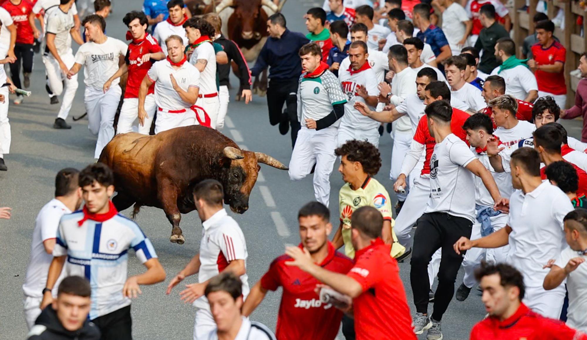 Fotos del quinto encierro de las fiestas de Tafalla 2025