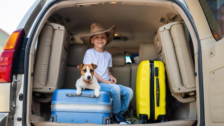 ¿Viajas con tu mascota este verano? Este es el documento que necesitas para evitar multas