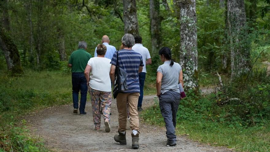 Gasteizko Zaramagako eguneko arretarako LAR berria martxan jartzeak 1,3 milioi euroko inbertsioa eskatuko du