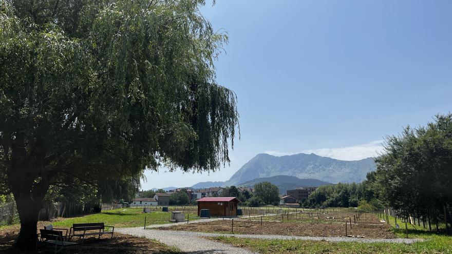 Abadiño abre el plazo para optar a huertos públicos