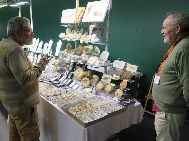 Los minerales, los fósiles y los dinosaurios toman Urretxu