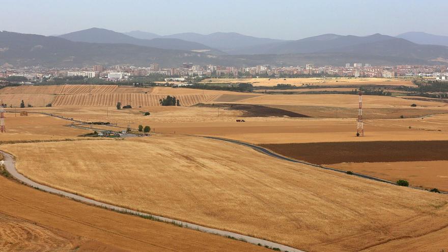 La "incertidumbre" domina la campaña del cereal este año en Navarra