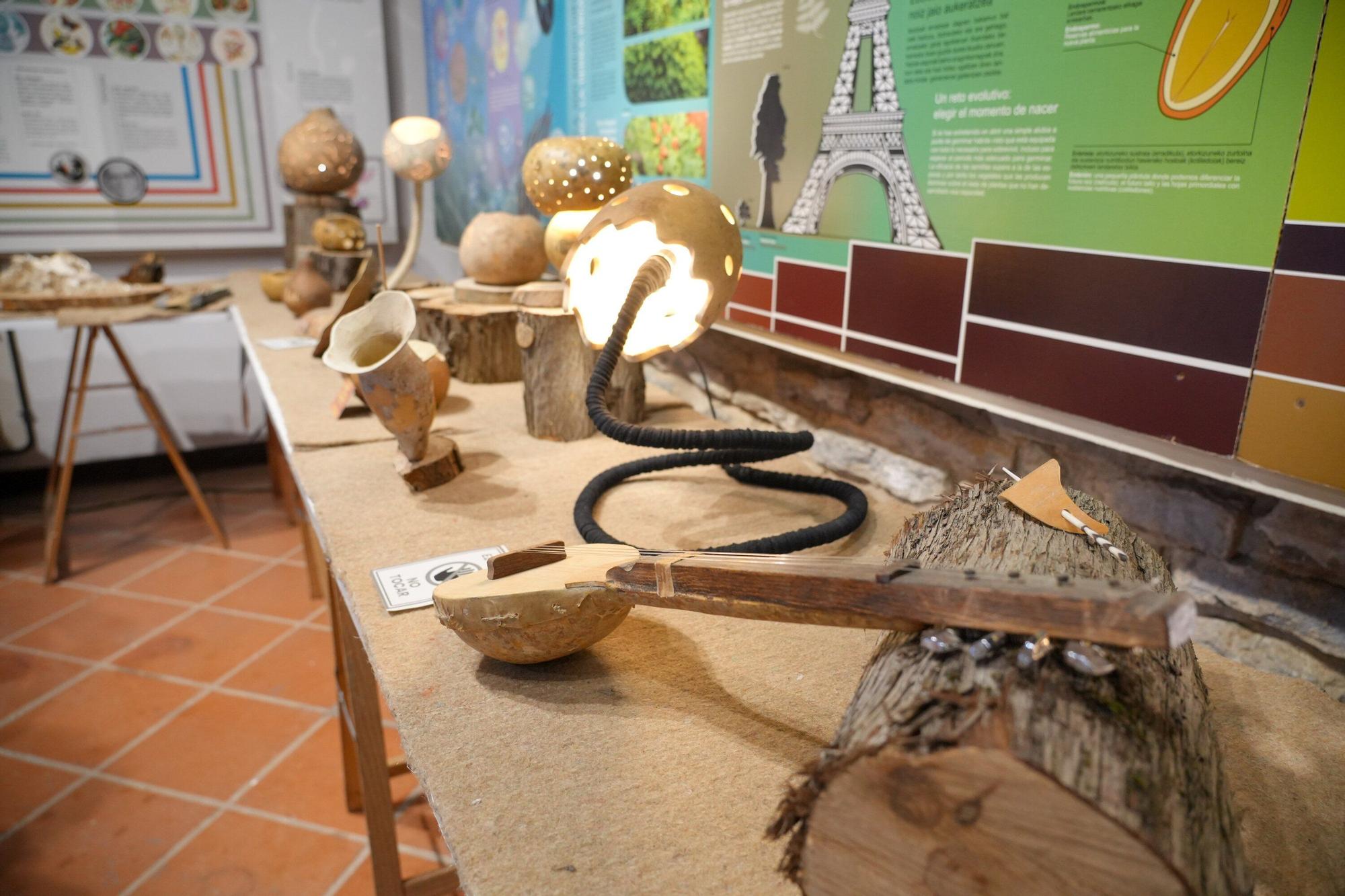 En imágenes: Exposición de calabazas en la Casa de la Dehesa