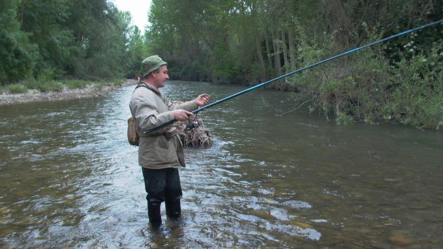 Navarra prohíbe la pesca en sus ríos por la ola de calor