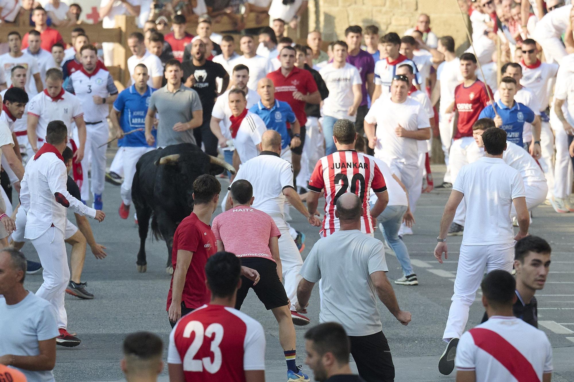 Fotos del primer encierro de fiestas de Tafalla