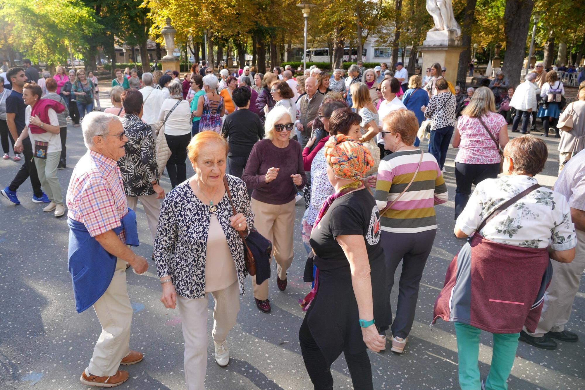 En imágenes: Celebración en Vitoria-Gasteiz del 35º aniversario del Día Internacional de las Personas Mayores
