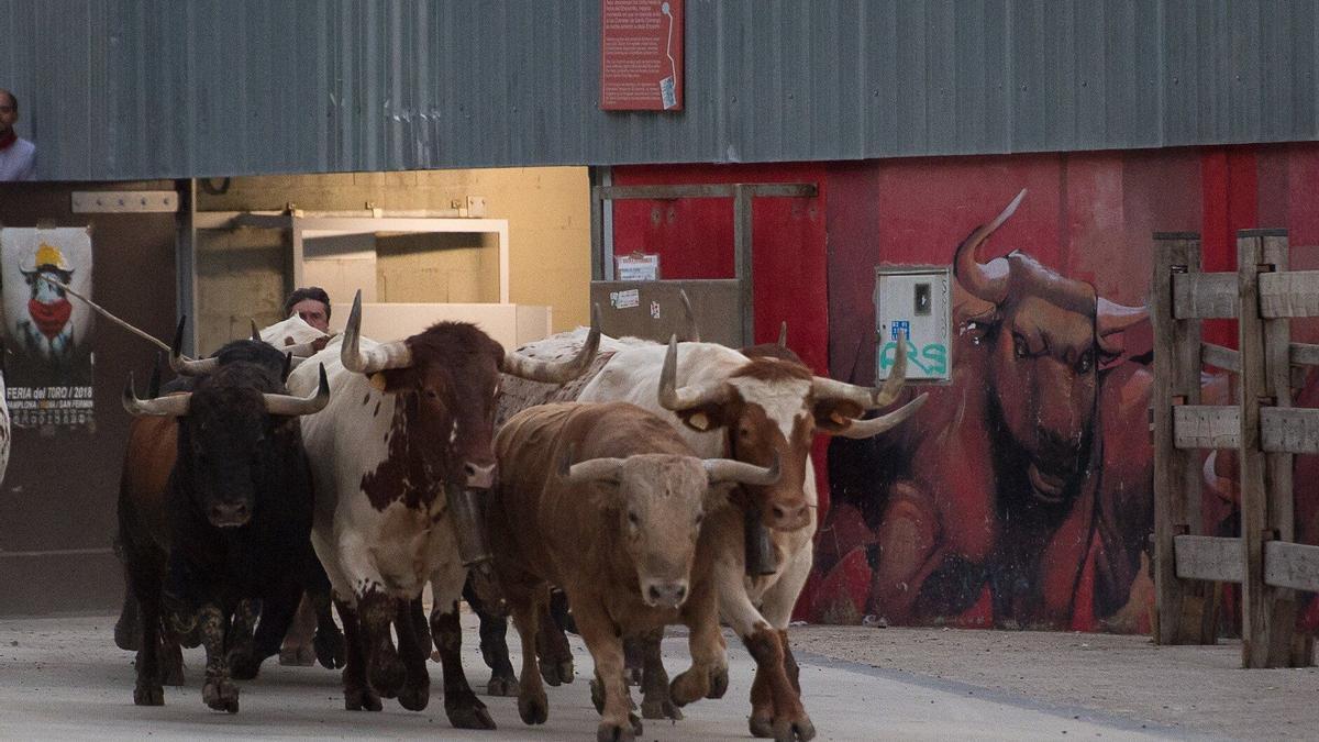 Encierrillo con toros de la ganadería de Fuente Ymbro.