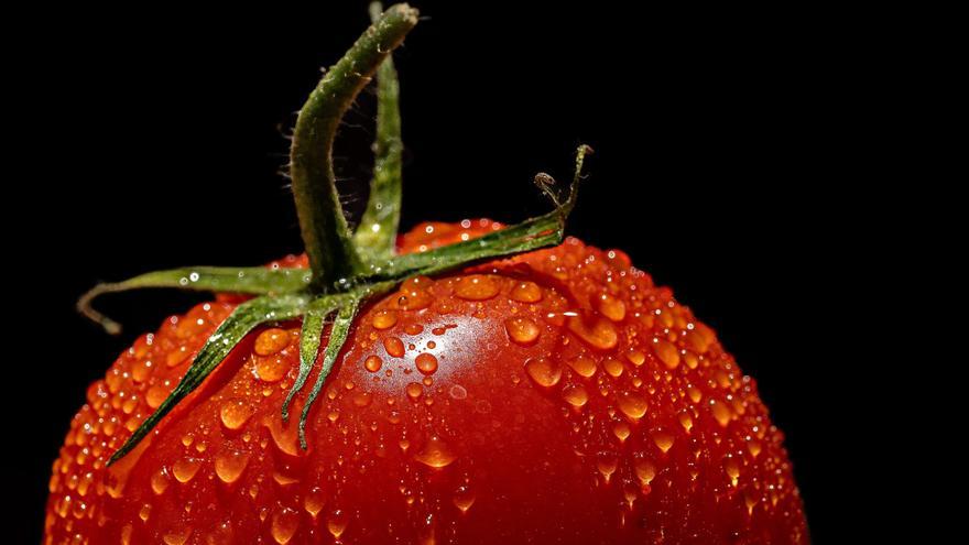 Conoce un truco infalible para pelar tomates al instante