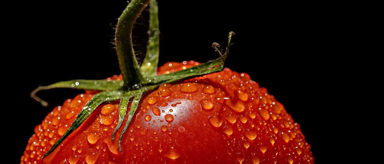 Conoce un truco infalible para pelar tomates al instante